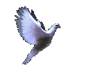 bird1.gif (38556 bytes)